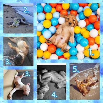 Foto Challenge - Zeigt her eure Bäuche-Beitrag-Bild