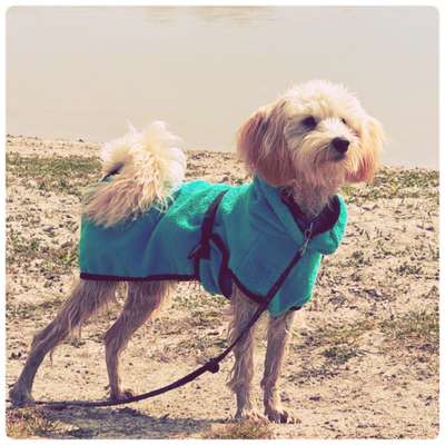 FarbenFoto - Challenge: Sepia-Beitrag-Bild