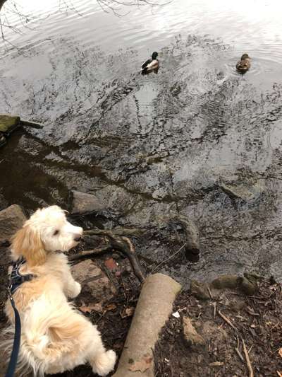 35. Handy Foto Challenge - Das nasse Element-Beitrag-Bild