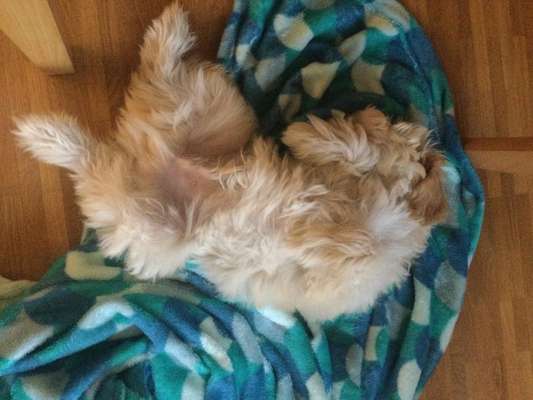 23. Farben / Fotochallenge - Türkis --Beitrag-Bild