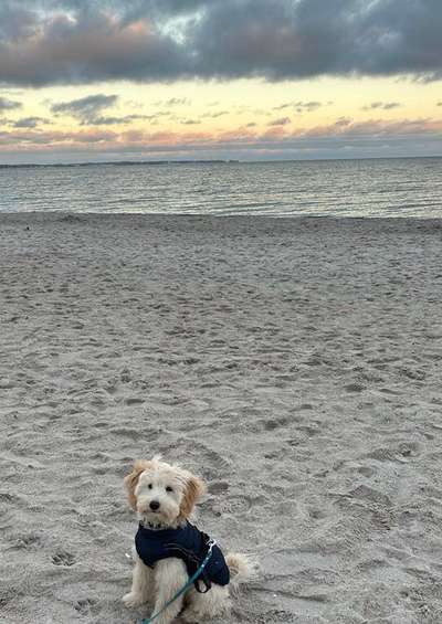 118. Fotochallange-Beitrag-Bild