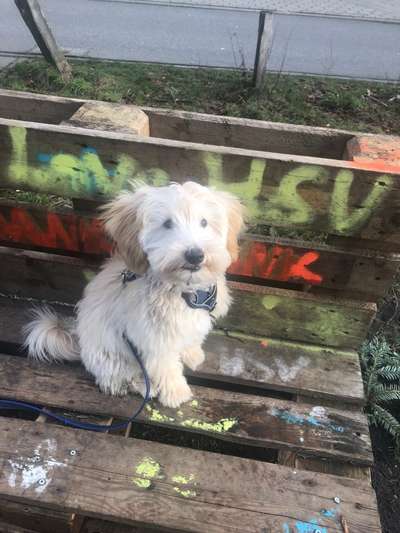 Doppelgänger gesucht !-Beitrag-Bild