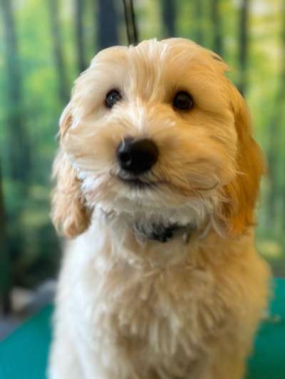 Fotochallenge Nr.122-Beitrag-Bild