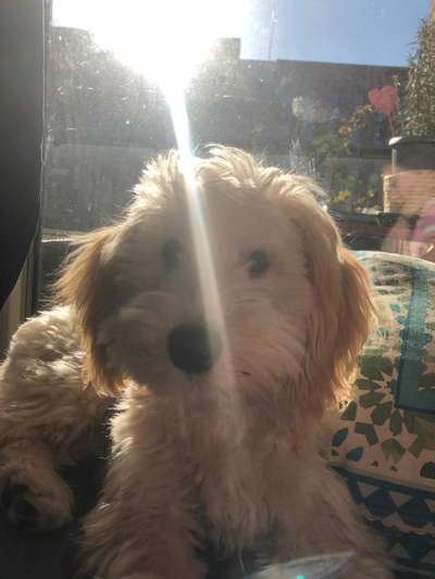 Farben Fotochallenge Sonnenlicht-Beitrag-Bild