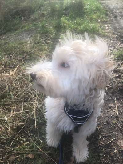 Lustige Grimassen & verrückte Posen-Beitrag-Bild