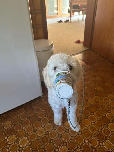 63. Handyfotochallenge   * Nase dran ! *-Beitrag-Bild