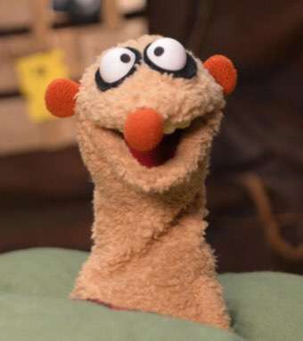 Wie heißt dein Hund?-Beitrag-Bild