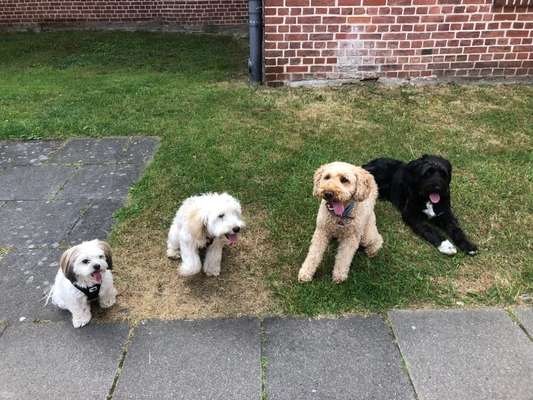 155. FotoChallange * David und Goliath *-Beitrag-Bild