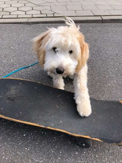 41. Handy Fotochallenge - Euer gemeinsames Hobby-Beitrag-Bild