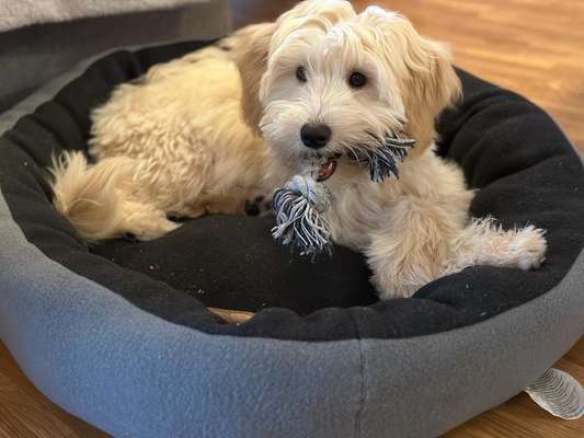 28. Handy-Fotochallenge - Damals und heute-Beitrag-Bild