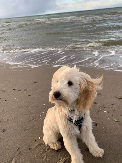 Eure schönsten Fotos mit Wasser-Beitrag-Bild