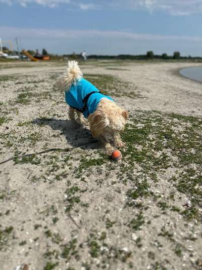 138. Fotochallenge 

(M)Ein Ball und ich-Beitrag-Bild