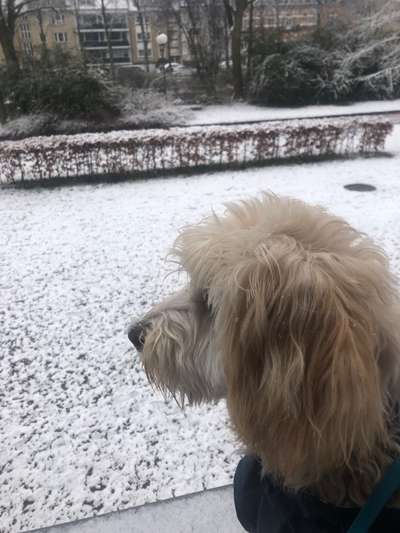 55. Handy Foto Challenge - von hinten, Blick in die Ferne-Beitrag-Bild