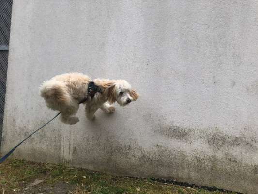 14. Farbenfoto-Challenge "Weiss"-Beitrag-Bild