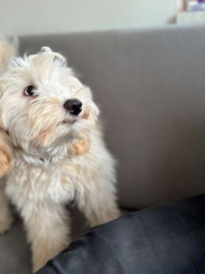 Lustigsten Bilder-Beitrag-Bild