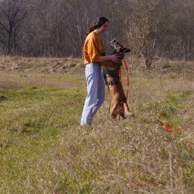 Hundetreffen-🐾 Social Walk Gruppe gesucht-Bild