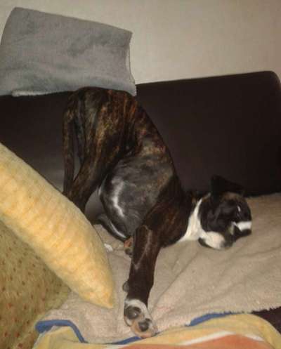 Die unbequemsten und lustigsten Schlafpositionen-Beitrag-Bild