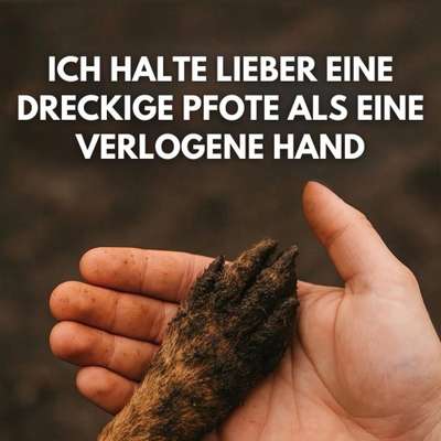 Hundetreffen-Hundetreffen 1230 Wien