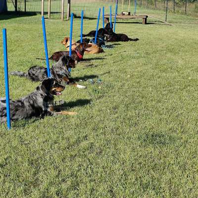 %{de_profession_title}-Grundausbildung-Bild