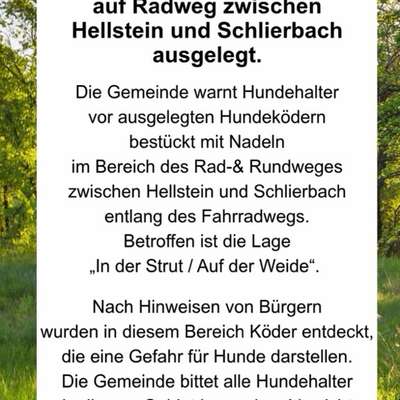 Giftköder-Köder mit Nadeln-Bild