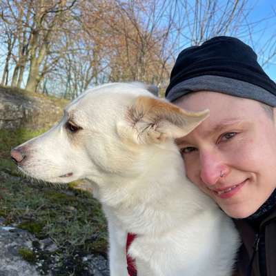 Hundetreffen-Hunde spielen & spazieren, Rüthen & Umgebung-Bild