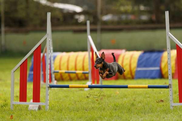 Austausch zur Fotografie-Beitrag-Bild