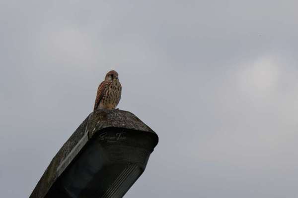 Austausch zur Fotografie-Beitrag-Bild