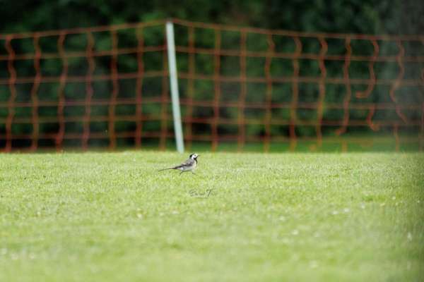 Austausch zur Fotografie-Beitrag-Bild