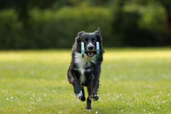 Austausch zur Fotografie-Beitrag-Bild