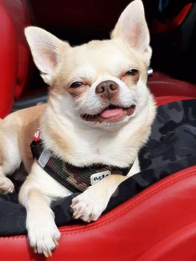 Lieblingsbild :D-Beitrag-Bild