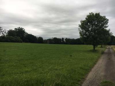 Hundeauslaufgebiet-Hof Hasselberg-Bild