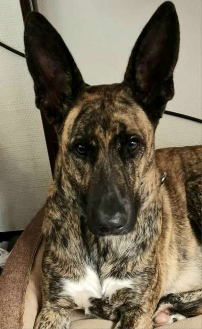 Fotochallange Nr. 57     PORTRÄT.   Beendet!!!!!!!!-Beitrag-Bild