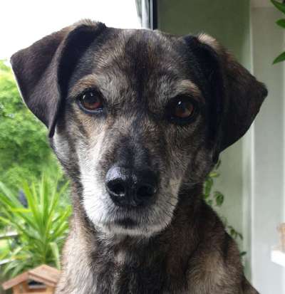 Fotochallange Nr. 57     PORTRÄT.   Beendet!!!!!!!!-Beitrag-Bild