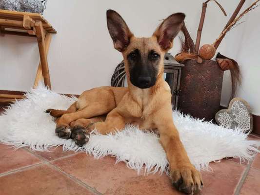 Lieblingsbild :D-Beitrag-Bild