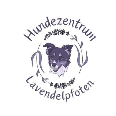 Hundeschulen-Hundezentrum Lavendelpfoten-Bild