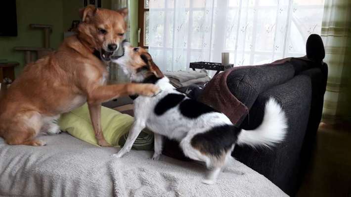 Lieblings Schnappschuss?-Beitrag-Bild