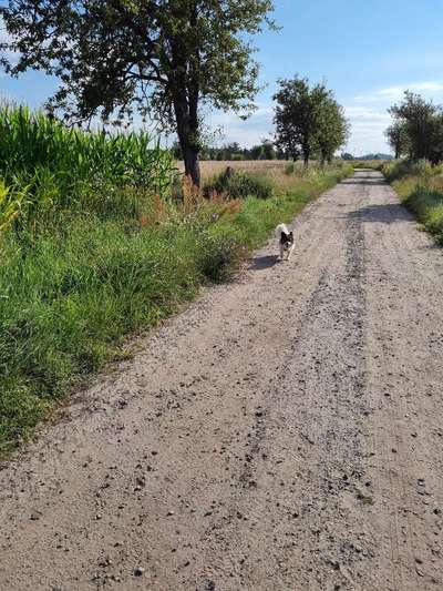 Trainingserfolge-Beitrag-Bild