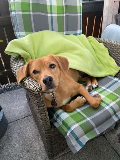 FOTO-Challenge  NR. 91: Die pure Entspannung-Beitrag-Bild