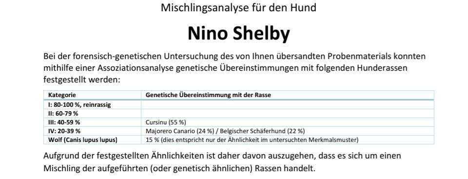 Hat schonmal jemand die Rasse beim Mischling bestimmen lassen?-Beitrag-Bild