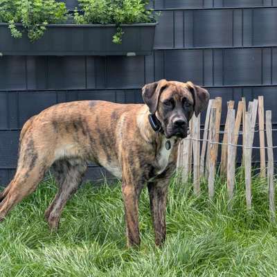 Bardino-Beitrag-Bild