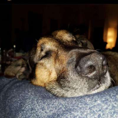 Die graue Eminenz-Beitrag-Bild