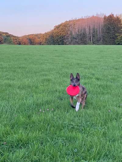 118. Fotochallange-Beitrag-Bild