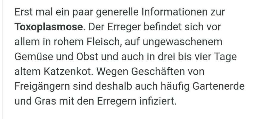 Naschen von kot-Beitrag-Bild