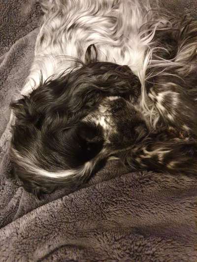 Lieblingsbild-Beitrag-Bild