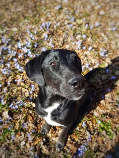 Fotowettbewerb Natur-Beitrag-Bild