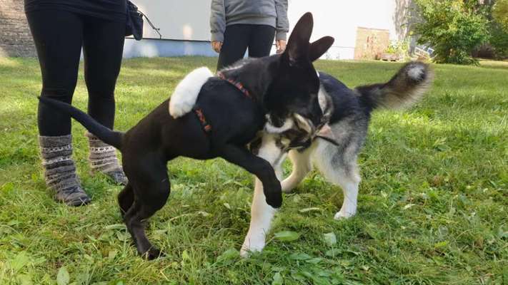 Fotochallenge Nr. 52 „Spring!“-Beitrag-Bild