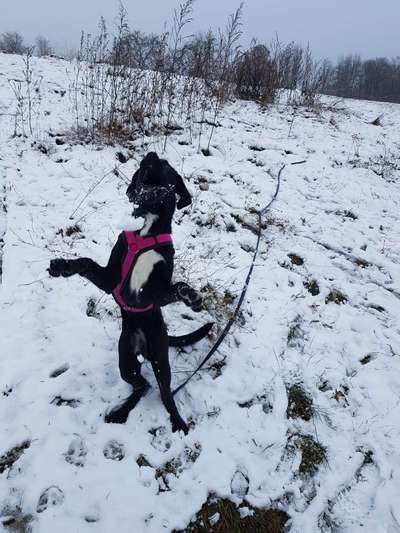 Fotochallenge 61 ~ Schnee-Beitrag-Bild