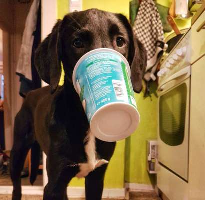 Fotochallenge Nr. 64-Beitrag-Bild