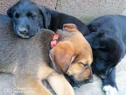 Fotochallenge 69-Beitrag-Bild