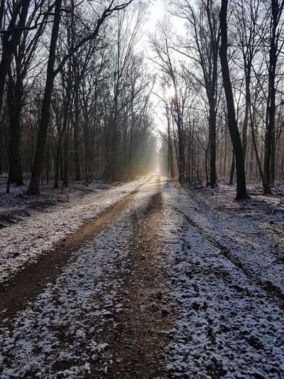 Die wunderschöne Welt mit Hund.-Beitrag-Bild